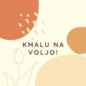 Naprsni šopki in broške